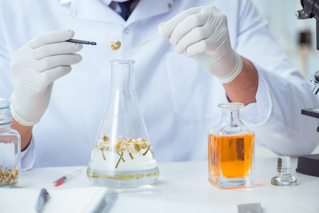The Secret World of Smells: A Journey Through the Chemistry of Olfaction